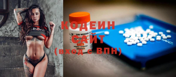 дмт Заводоуковск