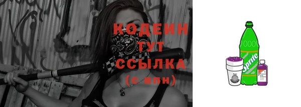 дмт Заводоуковск