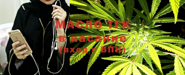 дмт Заводоуковск