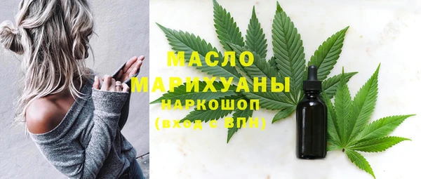 дмт Заводоуковск