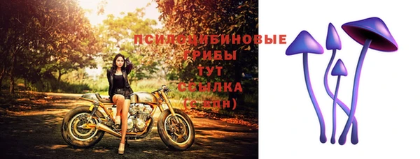 дмт Заводоуковск