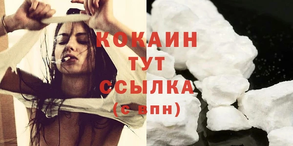 дмт Заводоуковск